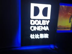 -万达影城(闵行颛桥万达广场杜比影院店)
