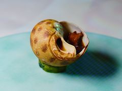 酒醉花螺-东海朗廷酒店-唐阁T’ANG COURT 中餐厅