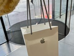 -Apple零售店(中街大悦城店)