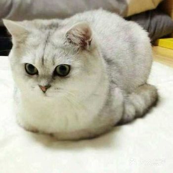 小宝宝生下来才两天，就会开始护食