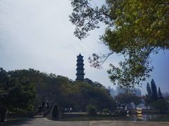 -江心屿景区