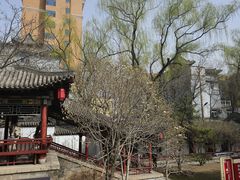 -碑林公园