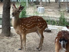 -观唐（国际）度假村温泉