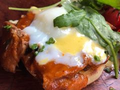 -Boxing Cat Brewery拳击猫精酿啤酒馆(思南公馆店)