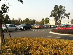 -上海欢乐谷-停车场