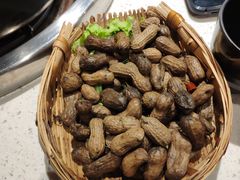 -钢管厂五区小郡肝火锅串串香(清河店)