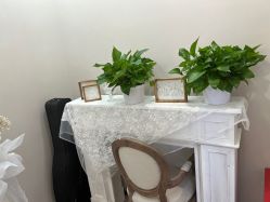 -木锦-科技美肤