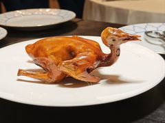 红烧乳鸽-炳胜品味(珠江新城店)