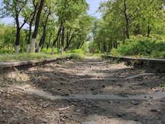 -永定河休闲森林公园