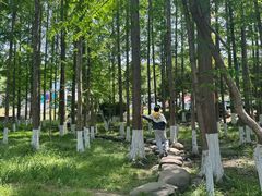 -金陵矩阵(聚宝山公园店)