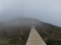 -白草畔自然风景区