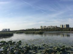 -哈尔滨大剧院