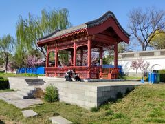 -绿堤公园