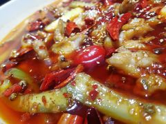 -雲蜀龙阁·金牌水煮鱼(方庄店)