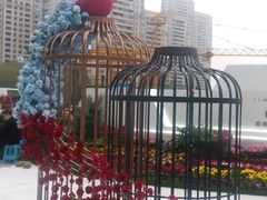 -重庆市江北嘴中央商务区中央公园