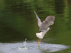 -重庆彩云湖湿地公园