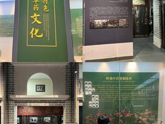 -广东中医药博物馆
