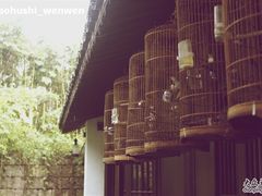 茶馆外挂的一排鸟-法云安缦酒店
