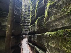 -梭布垭石林景区