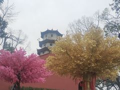 -石燕湖生态旅游景区