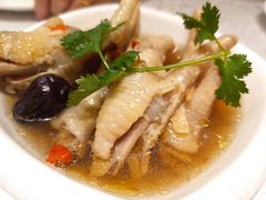 -老广新意(奥园店)