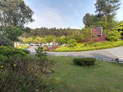 -铁山坪森林公园