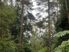-三门江国家森林公园