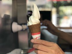 -富豪雪糕车流动点(尖沙咀店)