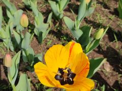 -长春公园(普阳街道)