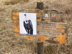 -硗碛藏寨·神木垒景区