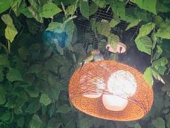 -酷嗒动物文化乐园(cutezoo西溪乐天城店)