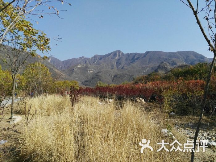五彩浅山木林段停车场图片 - 第5张