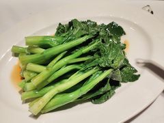 -正兴蜀园(科技园区店)