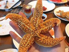 -嘉年华大酒店琴湾-自助餐厅