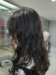 点击看大图 -镁连社·美联社