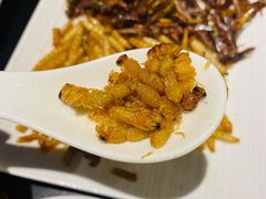 昆虫三拼-南蛮子(进贤路店)
