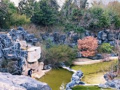 -上海吴淞炮台湾国家湿地公园