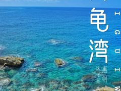 -广东惠东海龟国家级自然保护区
