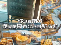 -苹果花园(枫林路店)