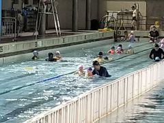 -江湾体育中心游泳馆