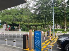 -天鹿湖森林公园