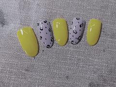 -吉田美学化妆美甲摄影培训(丽水校区)