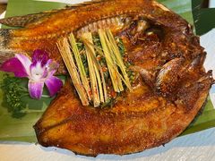 -紫滇源云南生态菜(丹凤街店)