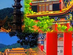-东莞市大岭山森林公园