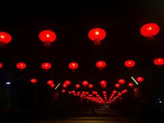 -万绿园