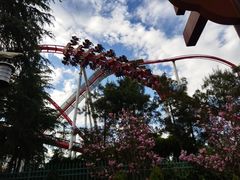 -七彩云南欢乐世界