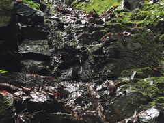 -藏龙百瀑风景区