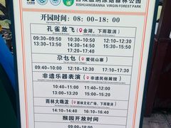 -西双版纳原始森林公园