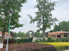 -大兴滨河森林公园