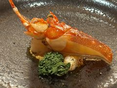 -炎橘·板前料理 Omakase